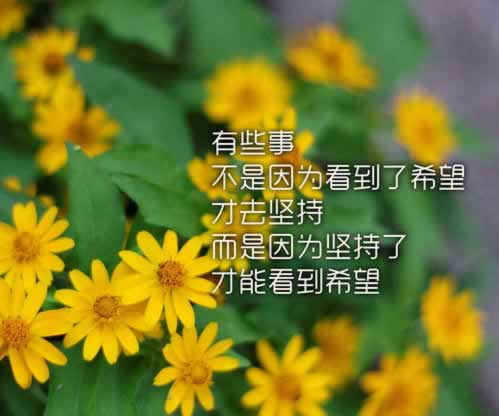 在网上遇到被黑找出黑团队还能能挽回多少损失，协助追回.文章开头语（图）