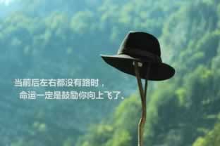 提现的钱一直不到账怎么办.引文（图）