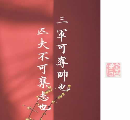提现被拒绝是不是平台跑路了.内容随笔(图)