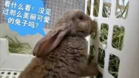 网络上网站赢钱不能出款要怎么办?怎么出款注意防骗.内容随笔(图)