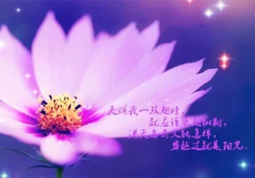 分享一下《网上平台赢钱注单抽查解决办法，第一时间可以解决》·这种解决很快