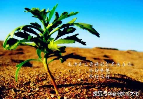 系统维护钱不能提现怎么办.概述(图)