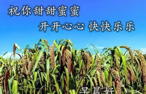 网上被黑异常审核维护.内容概略(图)