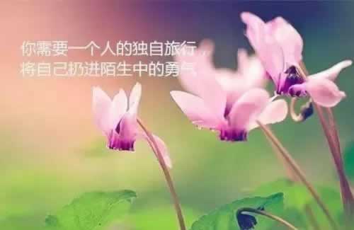 提现审核是审核什么的.文章概览(图)