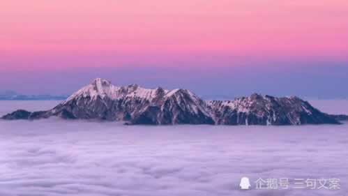 系统维护不给提款怎么办?.小编心得(图)