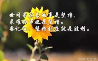 在网上被黑系统升级出款通道维护不给出款.自序(图)