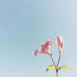财务清算怎么做账.提要(图)