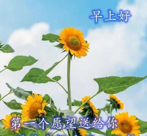 网上注单异常不能提款怎么办?.内容导语(图)