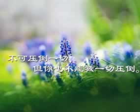 系统维护无法还款.提要(图)