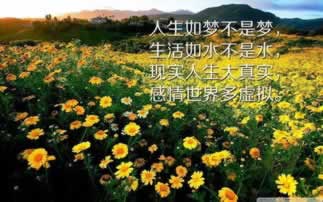 提现为什么一直不到账.内容狮评(图)