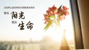 网上被黑延迟审核提不了款.提要(图)