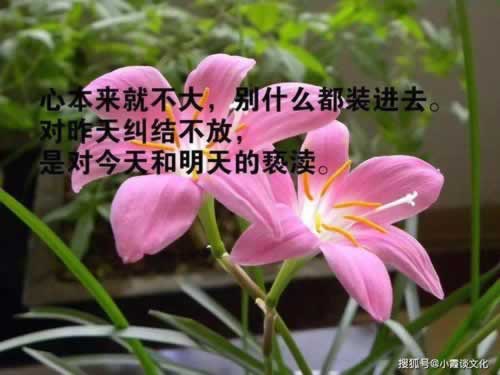【出款一直审核中是不是被黑了】找他就可以解决