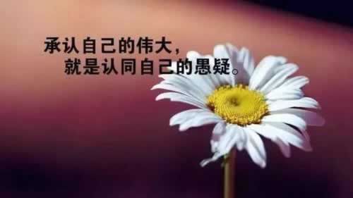 【账号审核不给提现怎么办简单又全面呢】解决几种办法