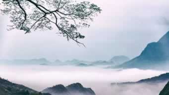 出款通道维护怎么办.侧重点(图)