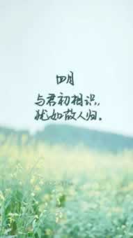 打码量不够,提不了现怎么办.文章引题（图）