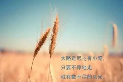 三分钟科普数据网络网速慢是什么原因.这里有妙招