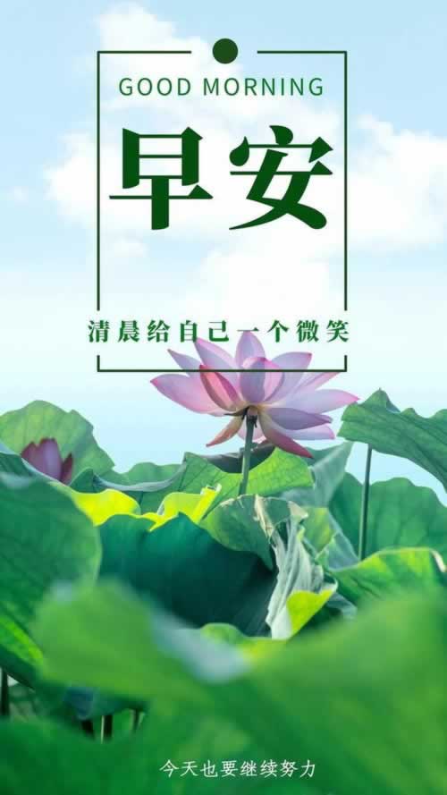 网上遇到被黑提款失败怎么办.内容狮评（图）