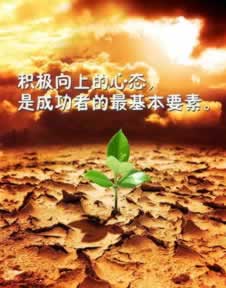 在网上365抽查审核提不了款怎么办?为什么会被黑.自序(图)