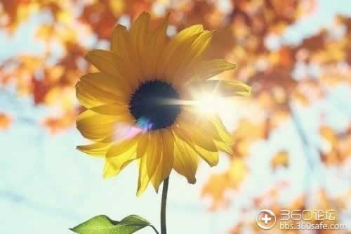提款被黑异常审核异常怎么回事啊怎么解决.内容概要(图)