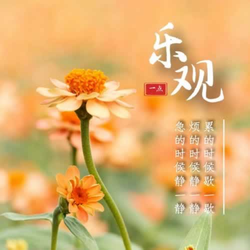 使用分享注单延迟不给出款怎么办这里有妙招这里有妙招