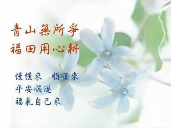 在黑平台财务清算不让提怎么办?真实情况揭秘.概述(图)