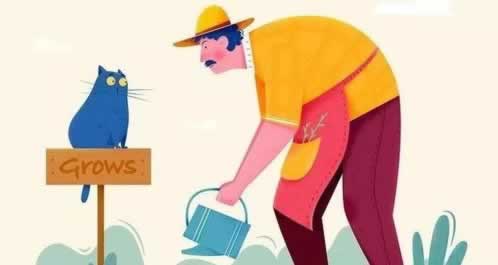 网站端口维护不能提款怎么办?这种情况是什么原因.小序（图）