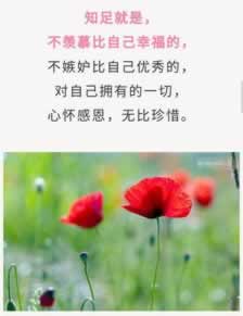 平台维护几天可以提现一次.自序(图)