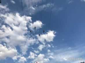 在网上的平台被黑不能提款.小编心得（图）