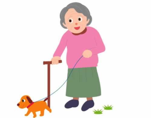 退休审核不通过给打电话吗.侧重点(图)