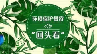 客服说国际线路波动.小编心得(图)