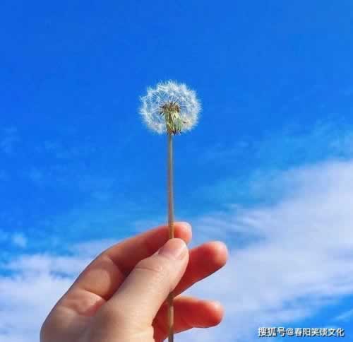 一直让罚流水不给出款解决办法千万别被坑了.文章开头语(图)