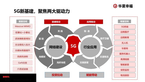 网站：需要五倍流水才能出款怎么办.文章导言（图）