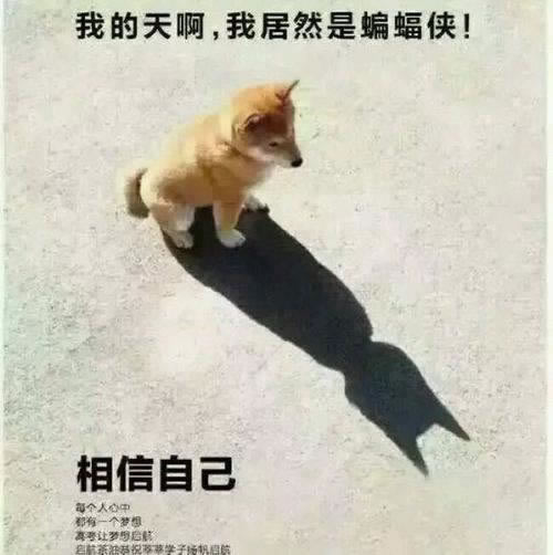 平台维护不给出款怎么办.侧重点(图)
