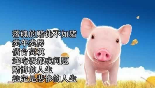 网站被坑财务清算不能出款,出黑大协助你.内容慨述(图)