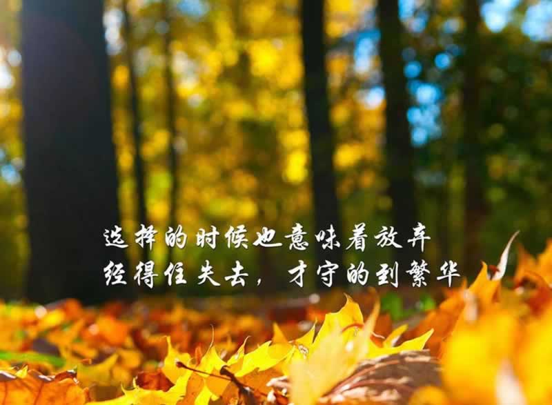 被黑系统维护审核异常怎么解决.文章概览(图)