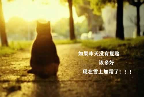 平台的钱提现不了怎样破解.内容狮评(图)