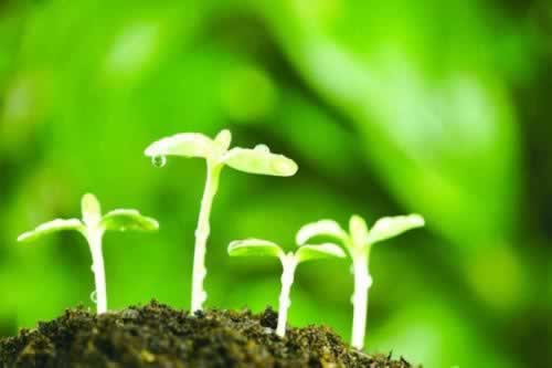 提款一直在审核中是不是被黑了.文章慨括（图）