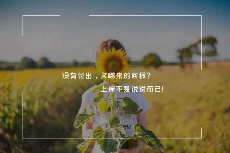 被黑不能提款有什么办法解决呢.文章导言(图)