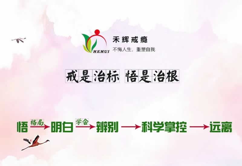 网上在网站被黑不给出款怎么解决？有谁可以解决吗？.小编心得（图）