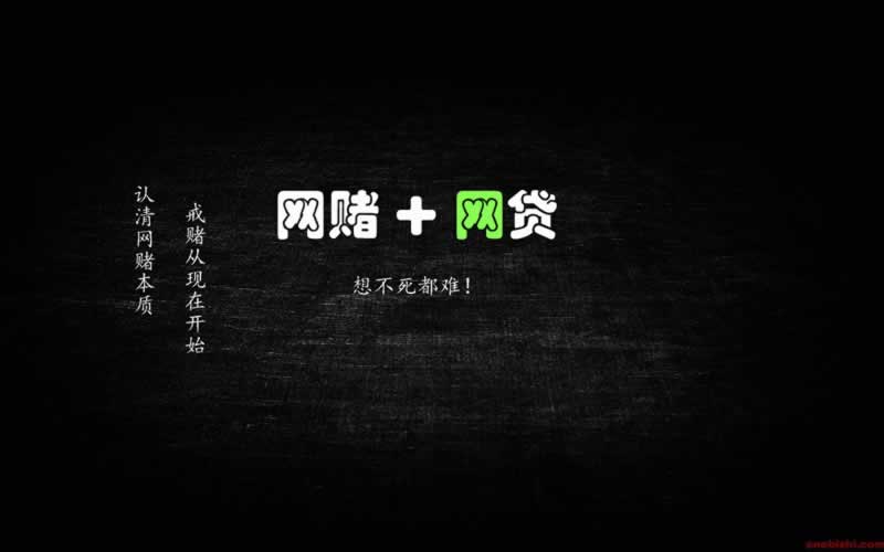 如何账号处于审核中状态呢英文翻译.内容狮评（图）