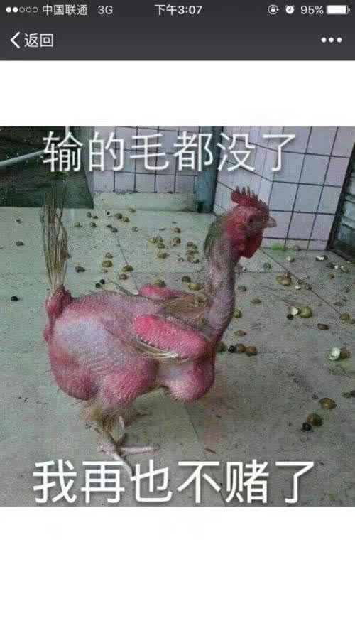 网上被黑:客服说我风控审核取款失败怎么办.读者的话(图)
