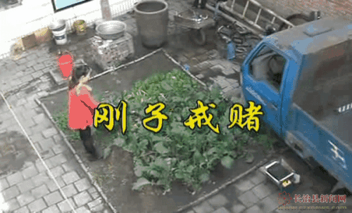 必看教程碰到被黑审核一直不给出款·不懂怎么办找我们